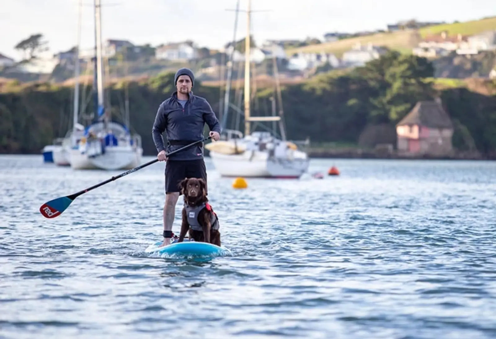 A man and his dog paddleboarding together in the sea