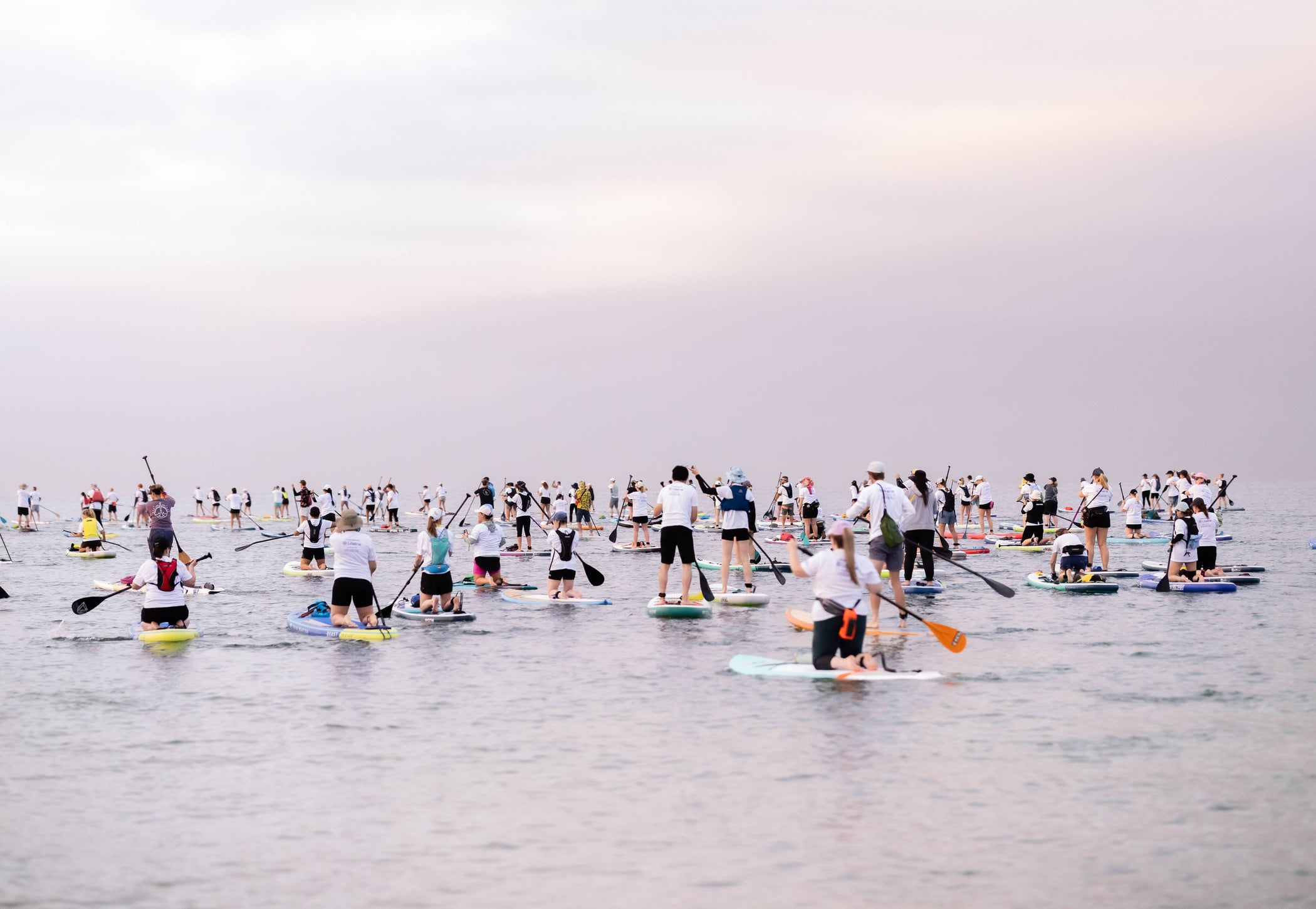 Paddle Across the Bay x Lifeline: a shared SUP challenge for mental wellbeing