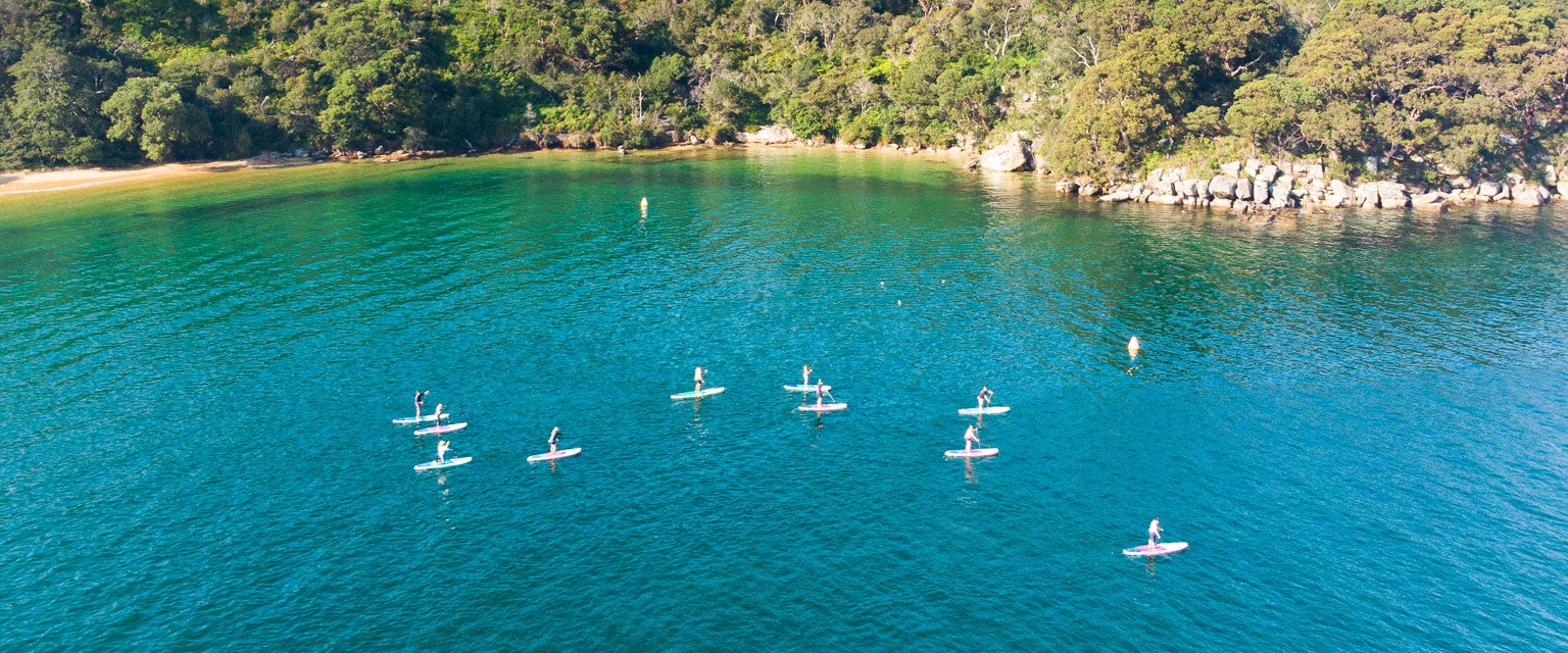 Early Morning Paddle Boarding In Sydney At Q Station