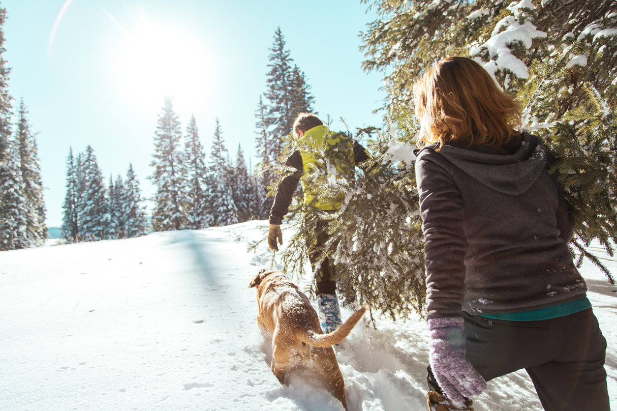 A man and woman walking their dog in the snow while carrying a Christmas tree