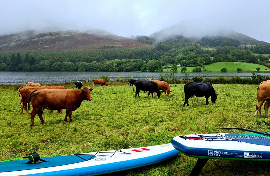 Paddle Boarding in the Lake District – Loweswater