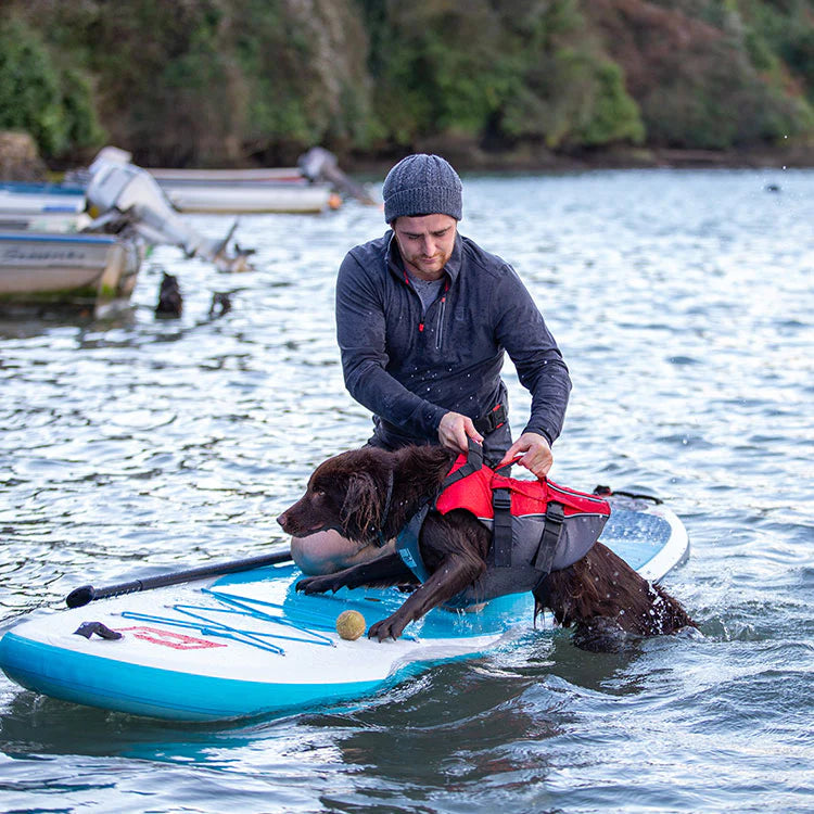 Man pulling dog on paddle board in the sea