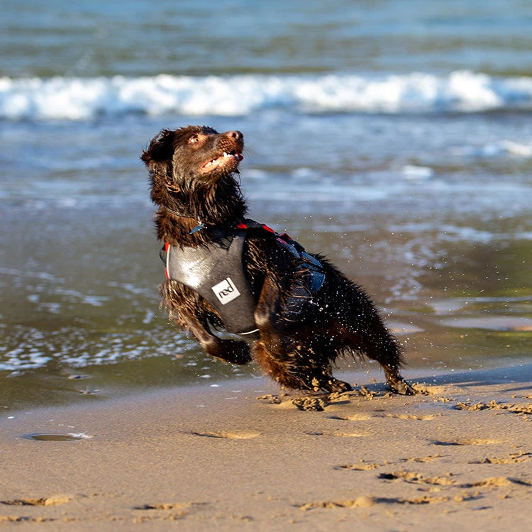 Dog Buoyancy Aid Red/Grey