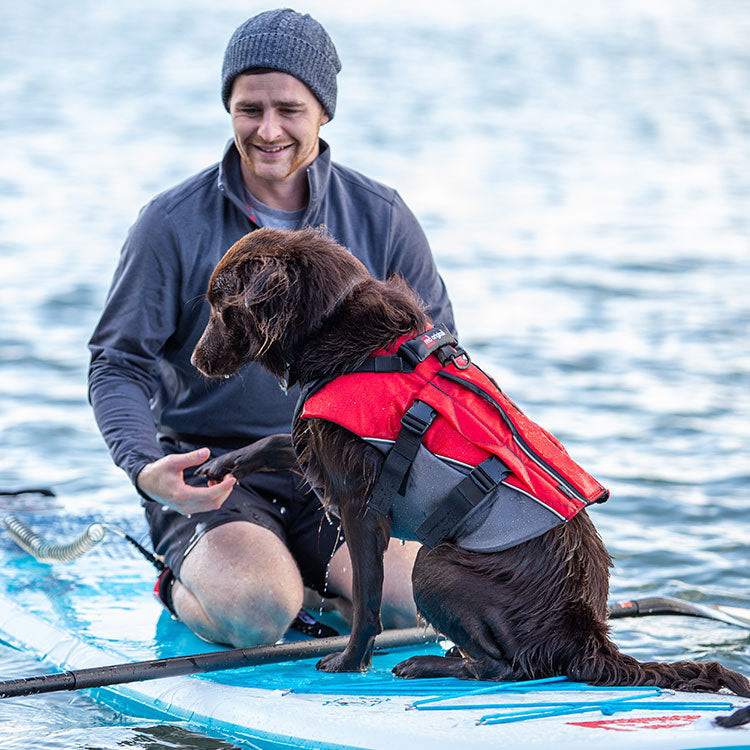 Dog Buoyancy Aid Red/Grey