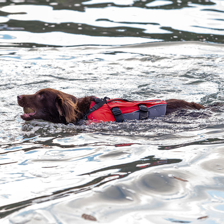 Dog Buoyancy Aid Red/Grey