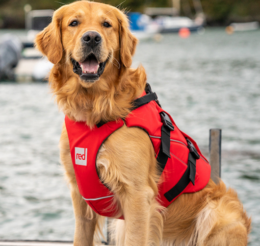 Dog Buoyancy Aid - Red