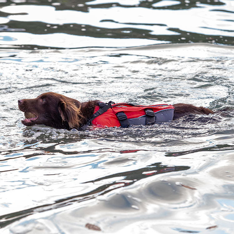 Dog Buoyancy Aid - Red Grey